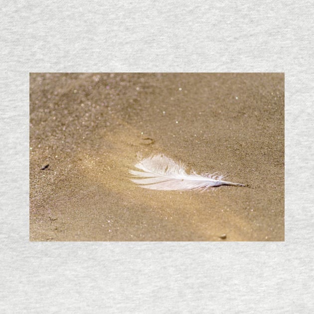 White Feather on Gold Dust by Debra Martz